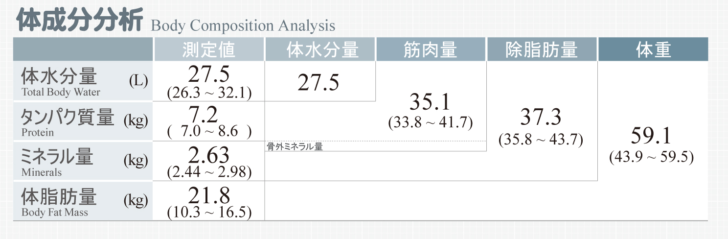 解説例