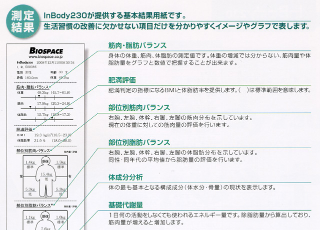 InBody230結果用紙