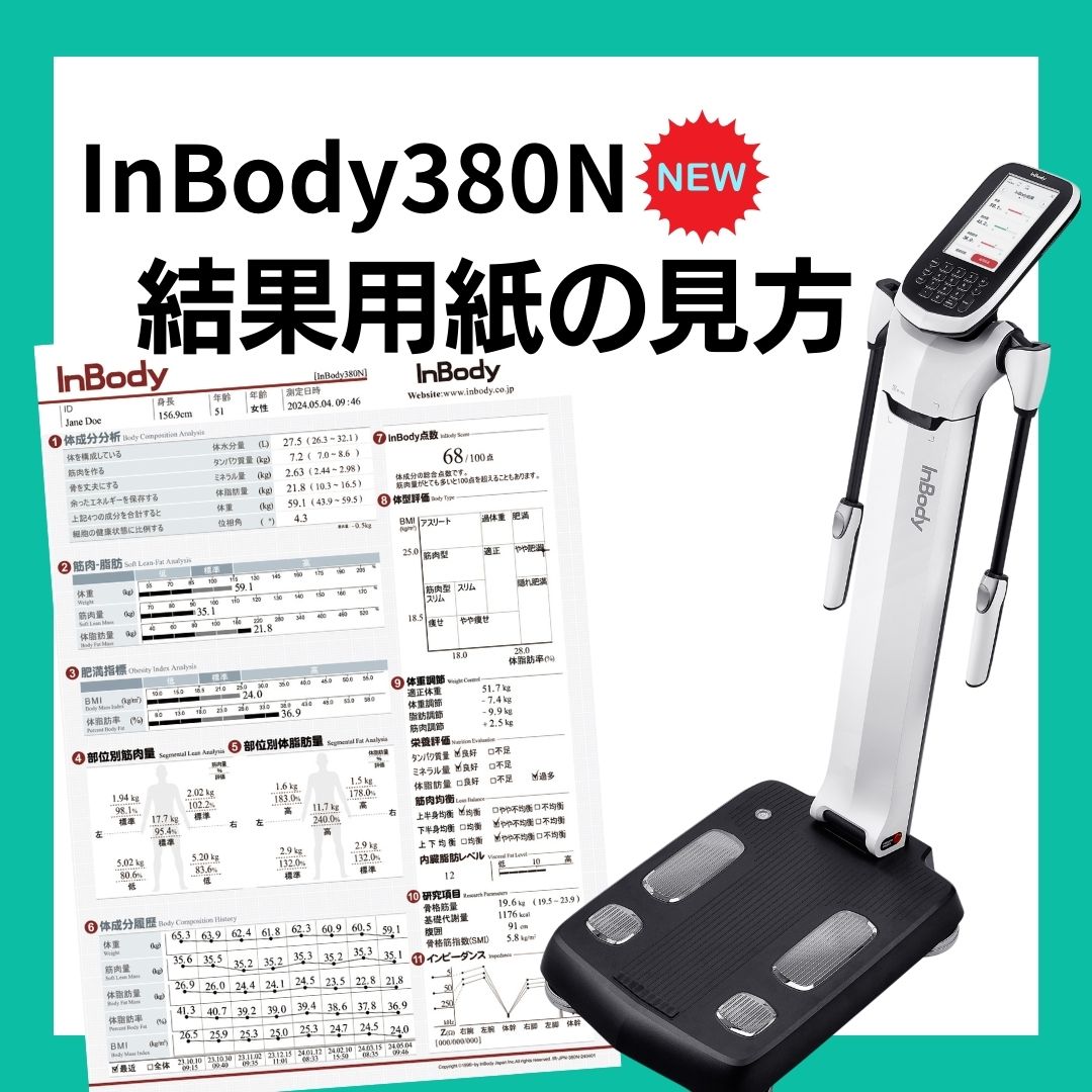 インボディ380N 結果用紙の見方 InBody380N | インボディ（InBody）