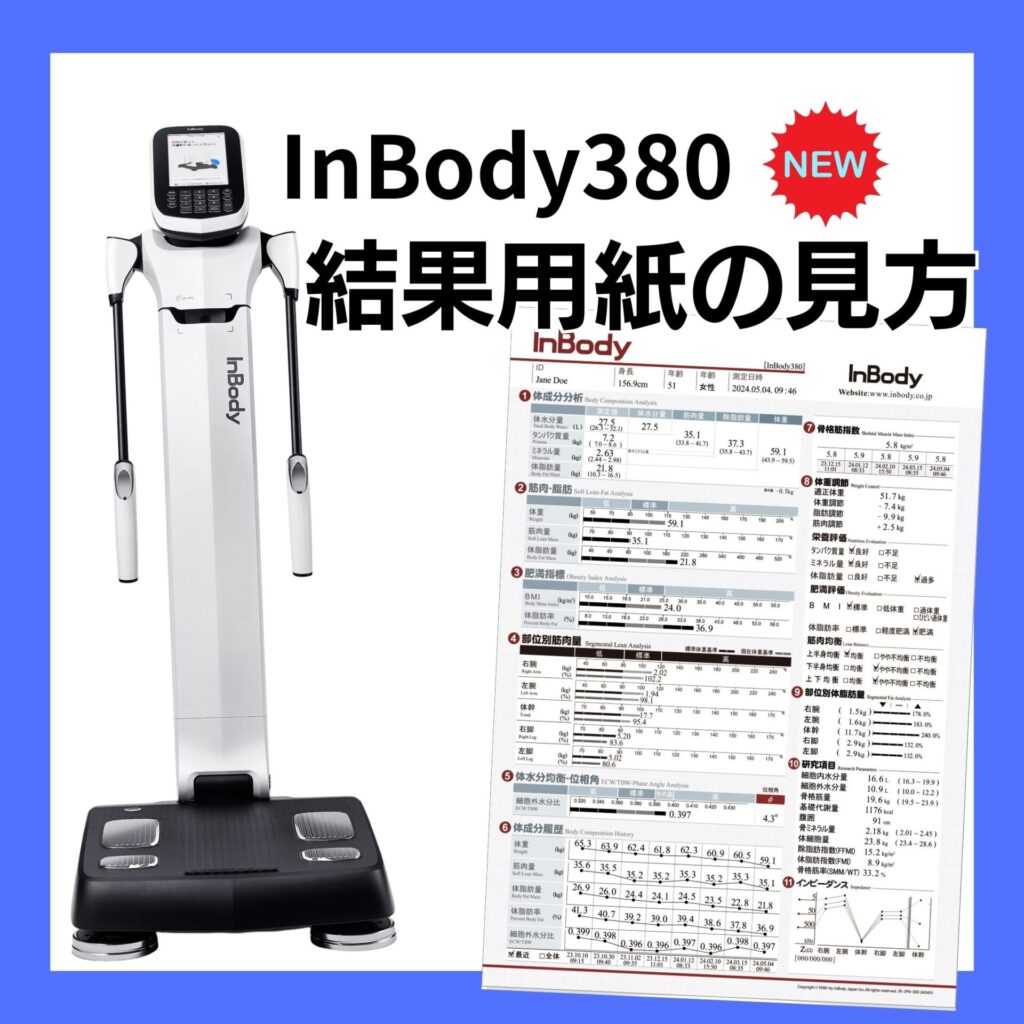 インボディ380 結果用紙の見方 InBody380 | インボディ（InBody）