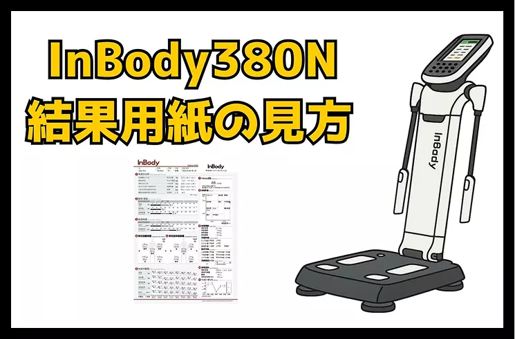 InBody380N結果用紙の見方のサムネイル画像